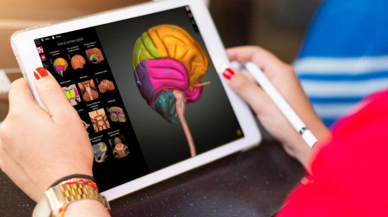 Anatomy Learning - 3D Online Anatomy Atlas