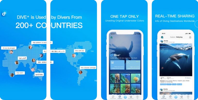 Dive+ World's Diving Community