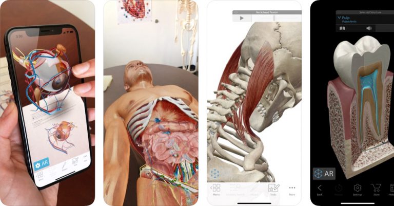 Human Anatomy Atlas 2020 Complete 3D Human Body
