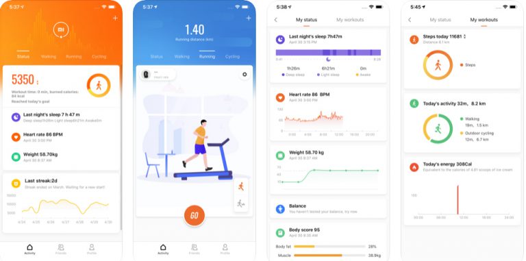 Mi Fit
